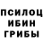 Псилоцибиновые грибы MAGIC MUSHROOMS Serhii Kozhevnikov