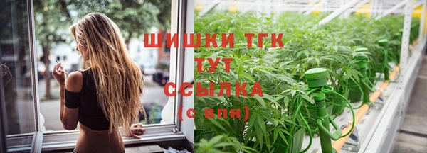 гидра Баксан