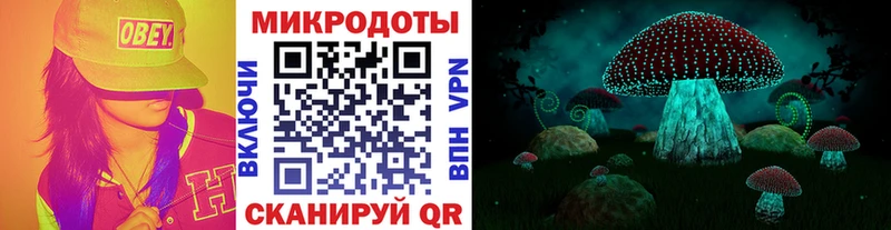 купить   Городец  Галлюциногенные грибы мухоморы 